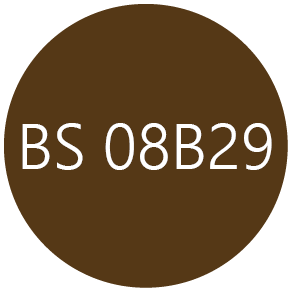 BS08B29